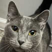 Thumbnail photo of Low-Toner #2