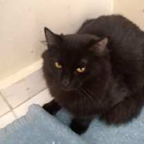 Thumbnail photo of Mickey and Mika #3