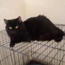 Thumbnail photo of Mickey and Mika #4