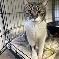 Thumbnail photo of Denim #1