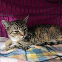 Thumbnail photo of Jessicat #3