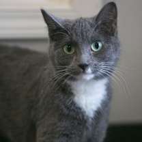 Thumbnail photo of Phyllis #1