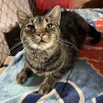 Thumbnail photo of CHURU #1