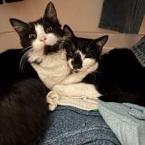 Thumbnail photo of SYLVIE #2