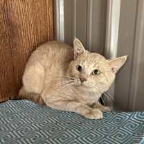 Thumbnail photo of TOBY #2