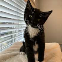 Thumbnail photo of Gum Drop #1