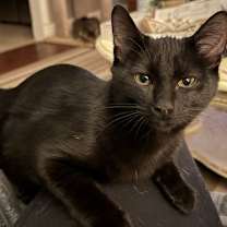 Thumbnail photo of Season #1