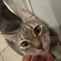 Thumbnail photo of Biggie Bag #1