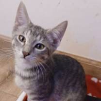 Thumbnail photo of Hazel Lane #3