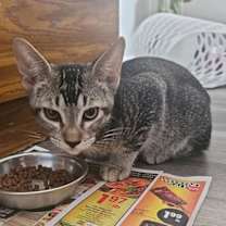 Thumbnail photo of Shy Guy Iturbe #4