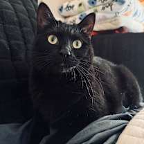 Thumbnail photo of Luna #3