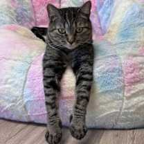 Thumbnail photo of Sissy Ellsworth #1