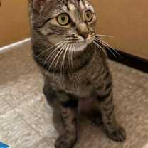 Thumbnail photo of Sissy Ellsworth #3