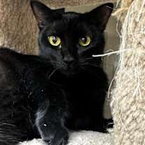 Thumbnail photo of Dolly Fuoco #3