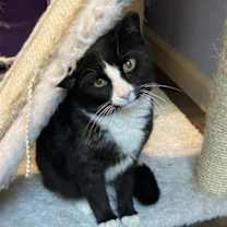 Thumbnail photo of Kloe Pepper #3