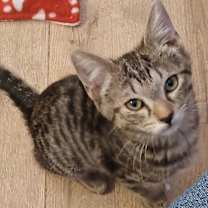 Thumbnail photo of Emmanuel Lane #3