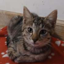 Thumbnail photo of Emmanuel Lane #4