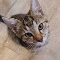 Thumbnail photo of Sally Lane #1