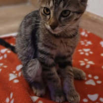 Thumbnail photo of Sally Lane #3