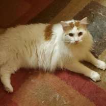 Thumbnail photo of Flynn Kallen #3