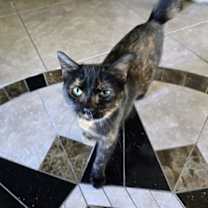 Thumbnail photo of Onica Stone #2