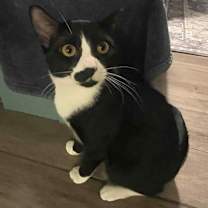 Thumbnail photo of Beanie Biscuits #1