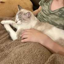 Thumbnail photo of Stevie Goosey #1