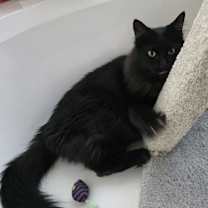 Thumbnail photo of Hugo Beckett #4