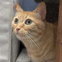 Thumbnail photo of Melly Vanelly #2