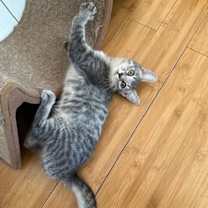 Thumbnail photo of Uno Girard #2