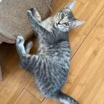 Thumbnail photo of Uno Girard #3