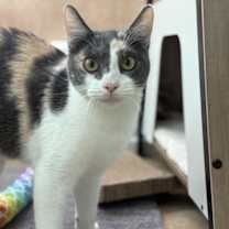 Thumbnail photo of Lucille Luvbug #3