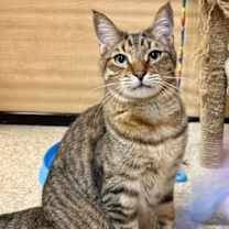 Thumbnail photo of Loch Mythical (Aka: Beef) #3