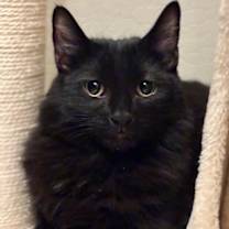 Thumbnail photo of Jack Pepboys #1