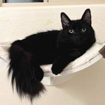 Thumbnail photo of Jack Pepboys #2