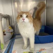 Thumbnail photo of Rubio #1