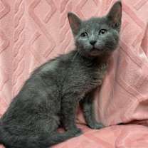 Thumbnail photo of Tango #3