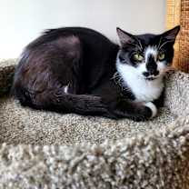 Thumbnail photo of Holly #2