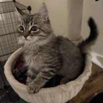 Thumbnail photo of Larry #1