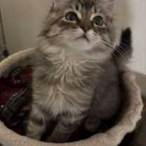 Thumbnail photo of Larry #2