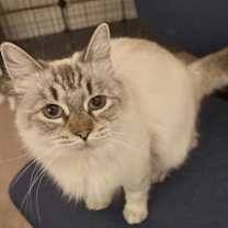 Thumbnail photo of Eleanor #1