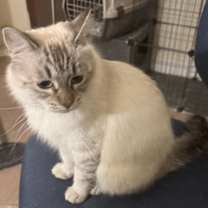 Thumbnail photo of Eleanor #2