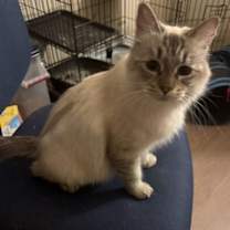 Thumbnail photo of Eleanor #4