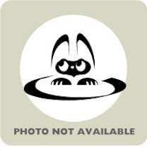 Thumbnail photo of 59977845 #2