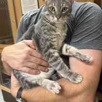 Thumbnail photo of Smokey ( Nicole ) #4