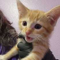 Thumbnail photo of 59982609 #2