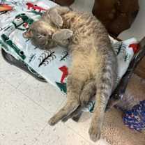 Thumbnail photo of Chris #3