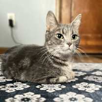 Thumbnail photo of Brina #1