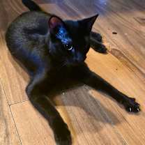 Thumbnail photo of Little Bit #2