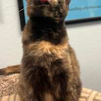 Thumbnail photo of Sammy #4